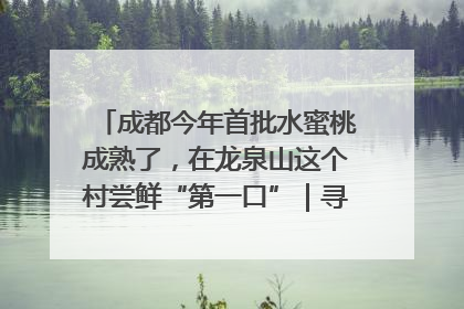 成都今年首批水蜜桃成熟了，在龙泉山这个村尝鲜“第一口”｜寻找和美乡村推荐官